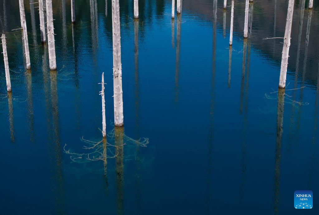 View of inverted forests of Lake Kaindy in Almaty Region, Kazakhstan