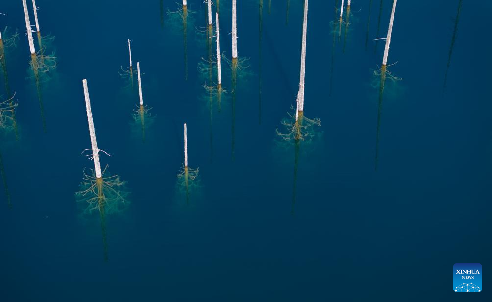 View of inverted forests of Lake Kaindy in Almaty Region, Kazakhstan