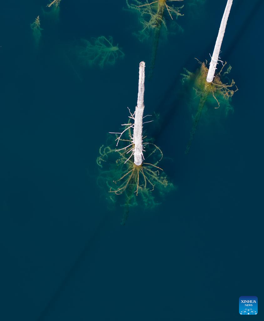 View of inverted forests of Lake Kaindy in Almaty Region, Kazakhstan