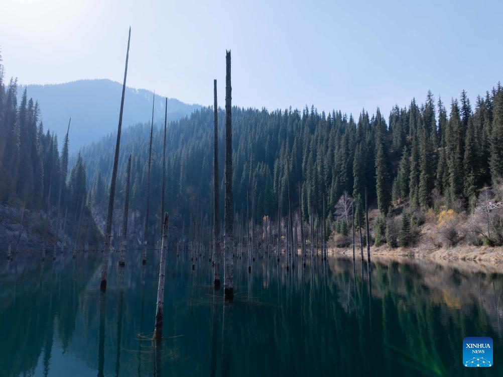 View of inverted forests of Lake Kaindy in Almaty Region, Kazakhstan
