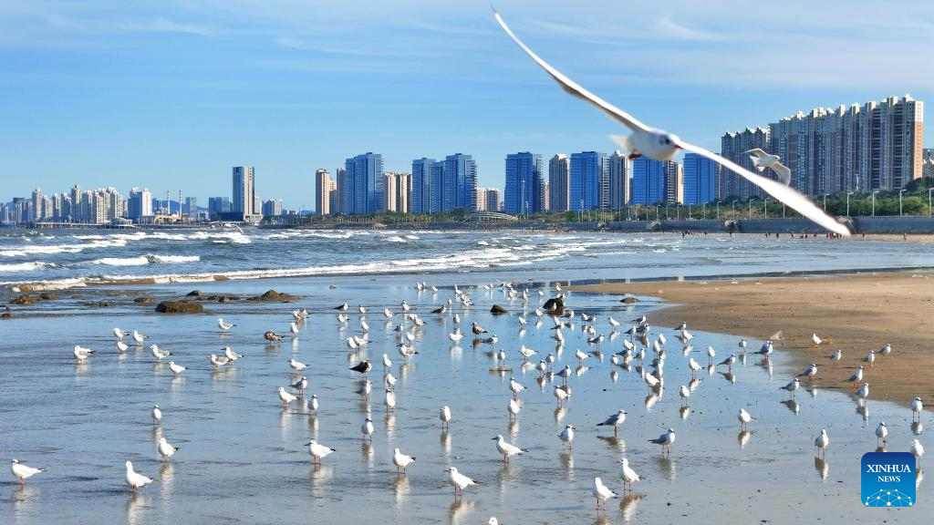 Six bays across Shandong recognized as outstanding examples of