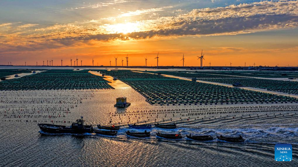 Six bays across Shandong recognized as outstanding examples of