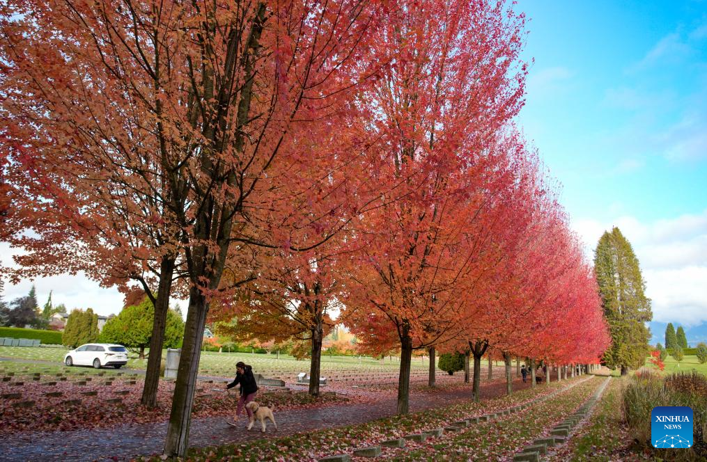 Autumn scenery in Vancouver, Canada