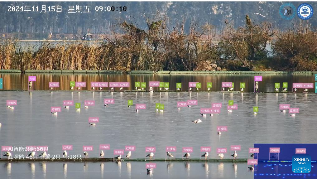 Across China: AI-powered