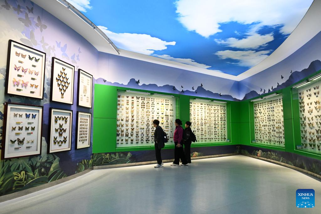 Insect Museum in Yangling, China's Shaanxi
