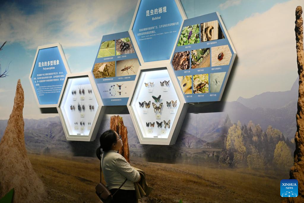 Insect Museum in Yangling, China's Shaanxi