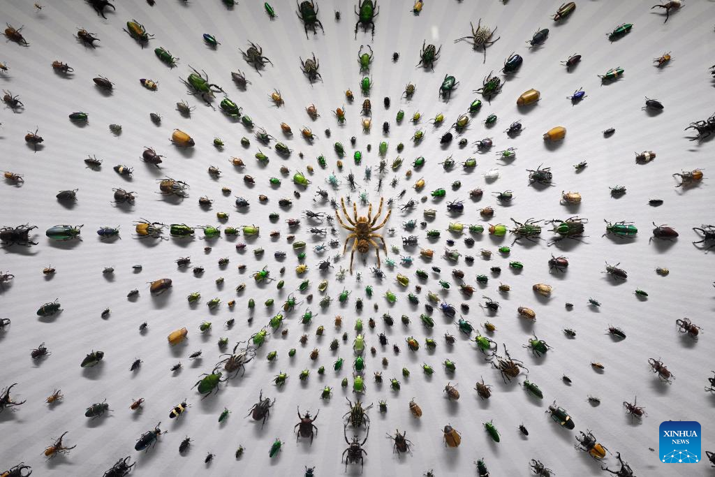 Insect Museum in Yangling, China's Shaanxi