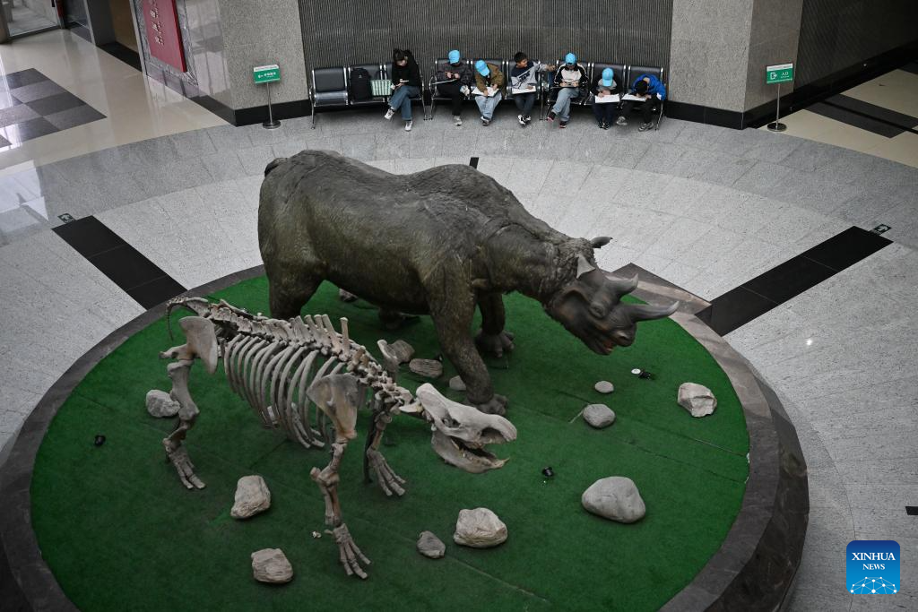 Insect Museum in Yangling, China's Shaanxi