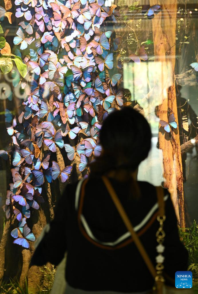 Insect Museum in Yangling, China's Shaanxi