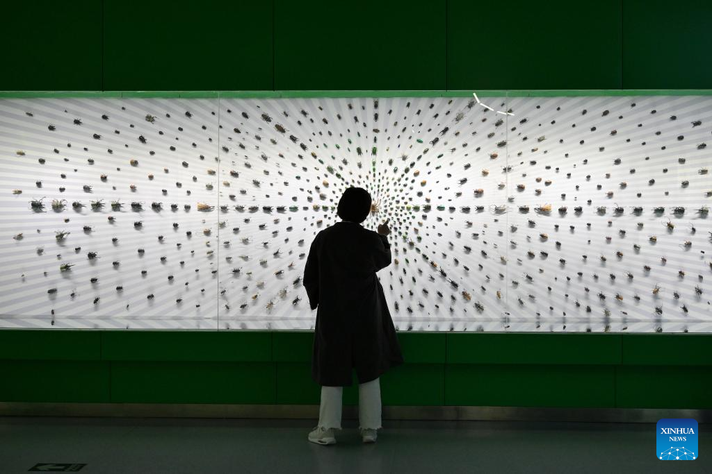 Insect Museum in Yangling, China's Shaanxi