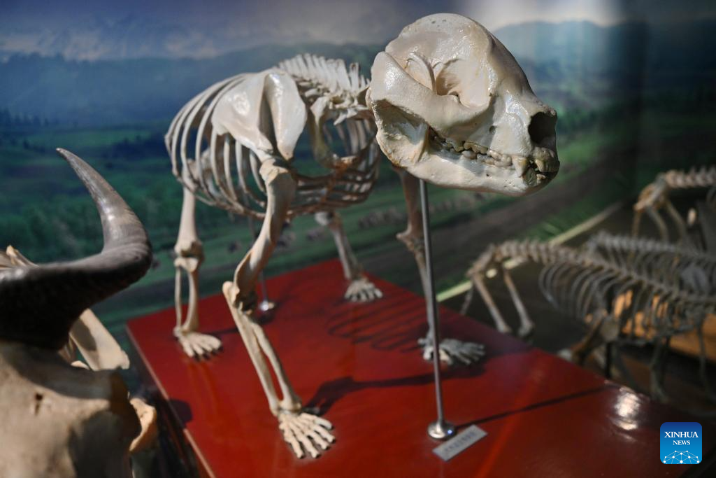 Insect Museum in Yangling, China's Shaanxi