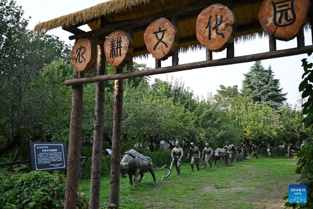 Insect Museum in Yangling, China's Shaanxi
