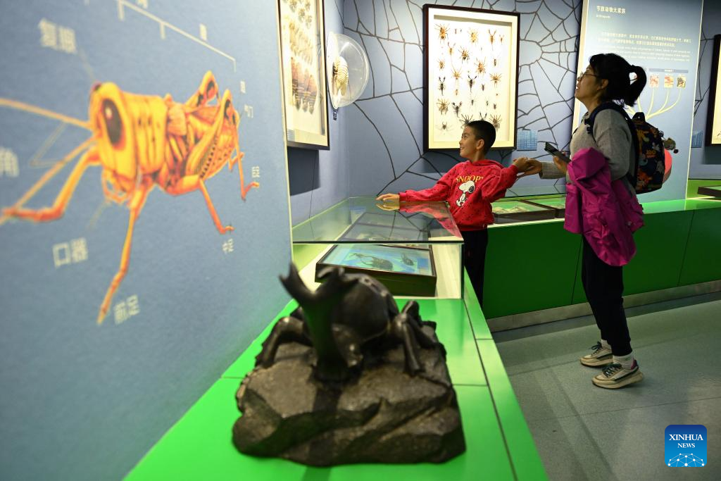 Insect Museum in Yangling, China's Shaanxi