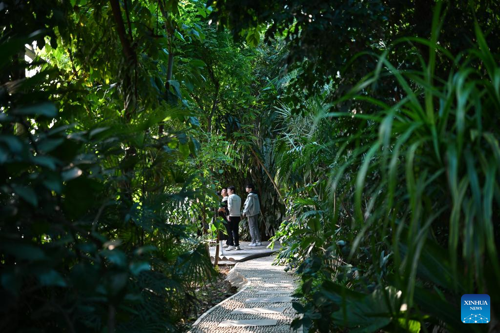 Insect Museum in Yangling, China's Shaanxi