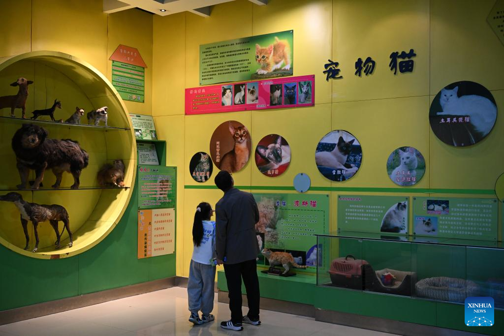 Insect Museum in Yangling, China's Shaanxi