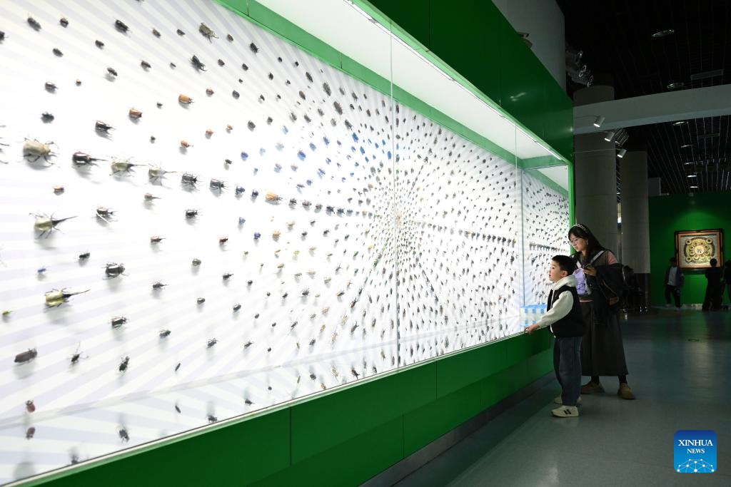 Insect Museum in Yangling, China's Shaanxi