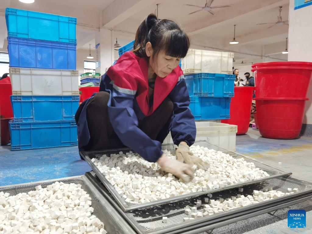 Chinese farmers seek economic gains in forest glades