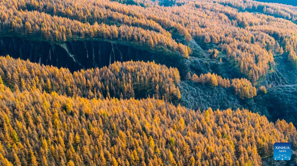 Autumn scenery of Liupanshan Mountain in China's Ningxia