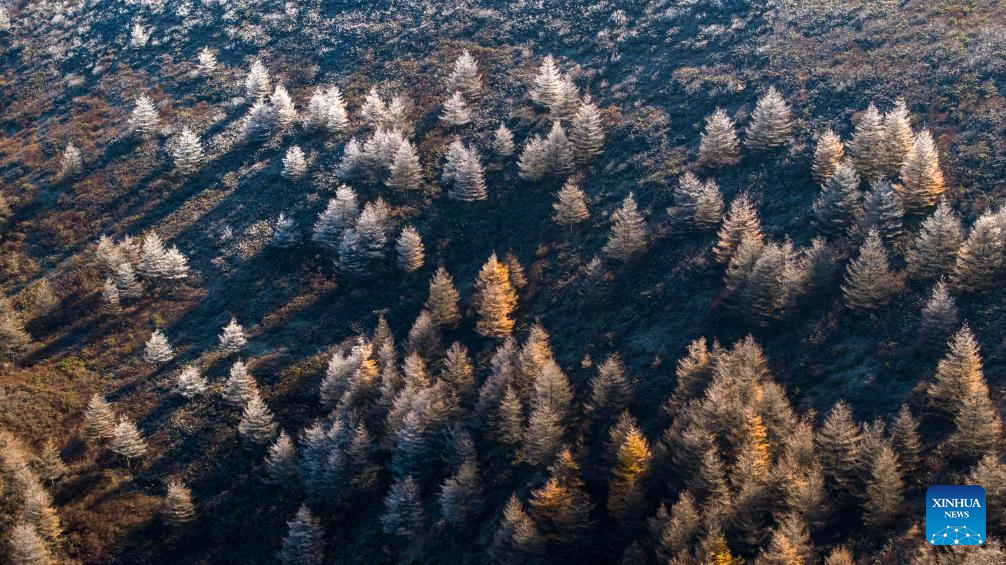 Autumn scenery of Liupanshan Mountain in China's Ningxia