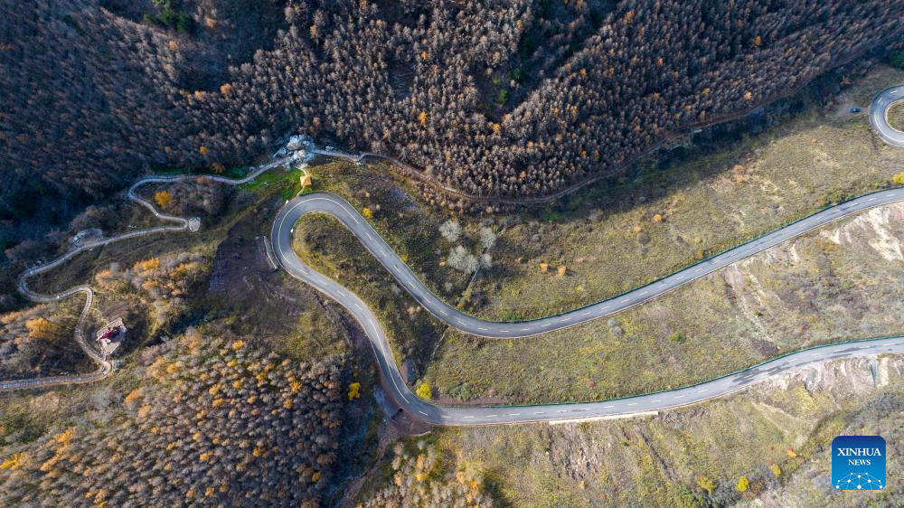 Autumn scenery of Liupanshan Mountain in China's Ningxia