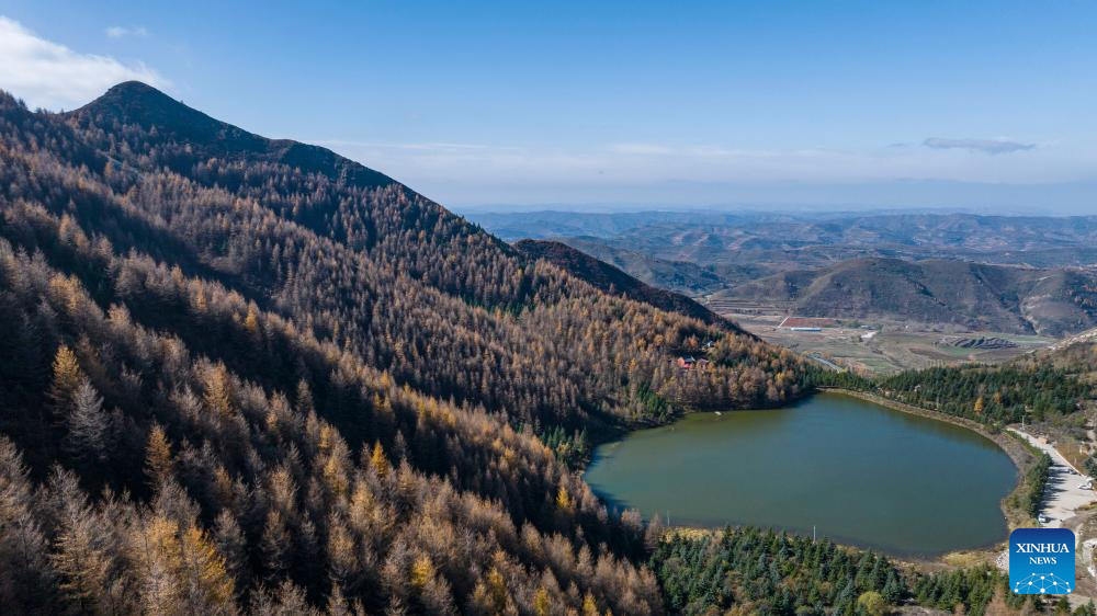 Autumn scenery of Liupanshan Mountain in China's Ningxia