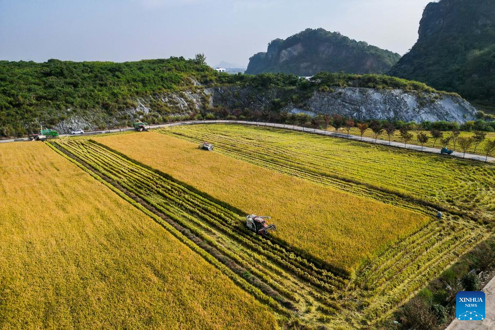 Autumn scenery across China
