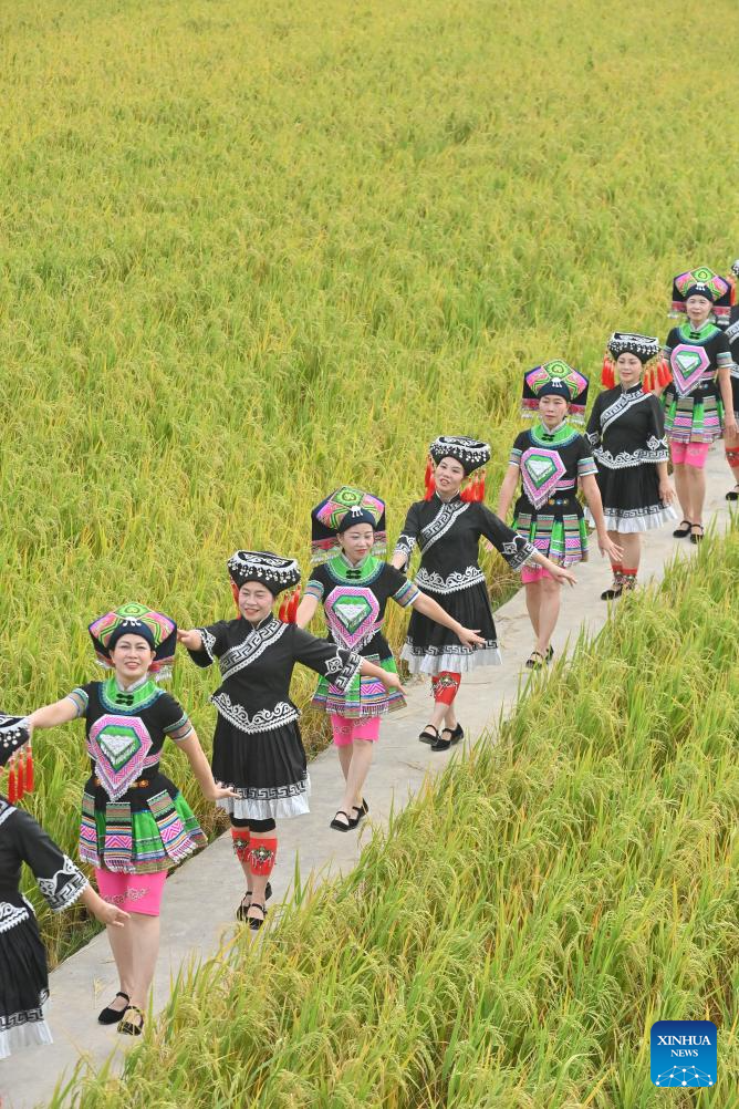 Harvest celebration held in S China's Guangxi