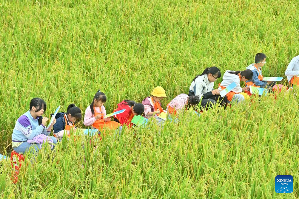 Harvest celebration held in S China's Guangxi