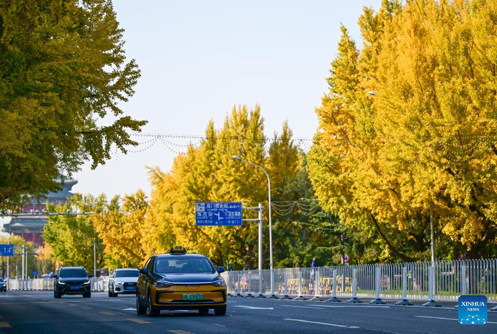 Autumn scenery in Beijing