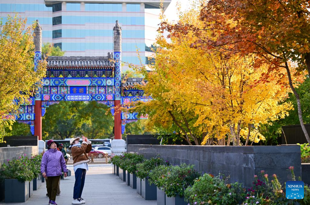 Autumn scenery in Beijing