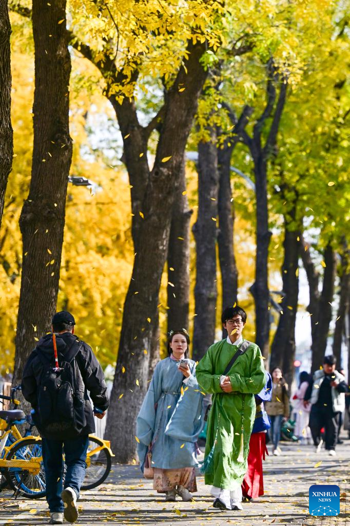 Autumn scenery in Beijing