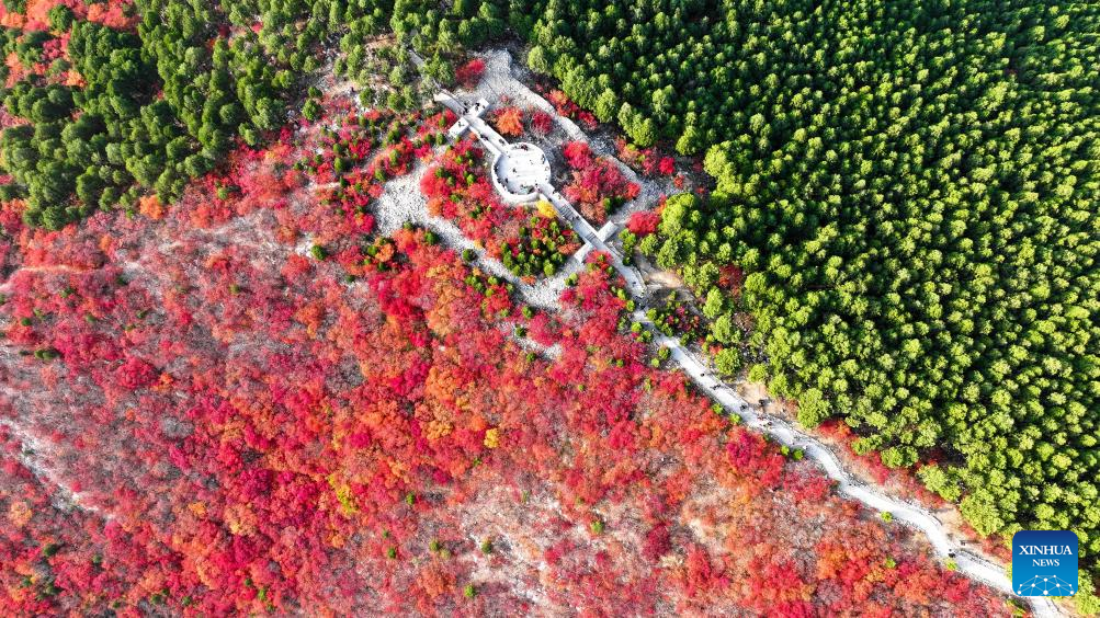 Autumn view of Jinan City, E China's Shandong