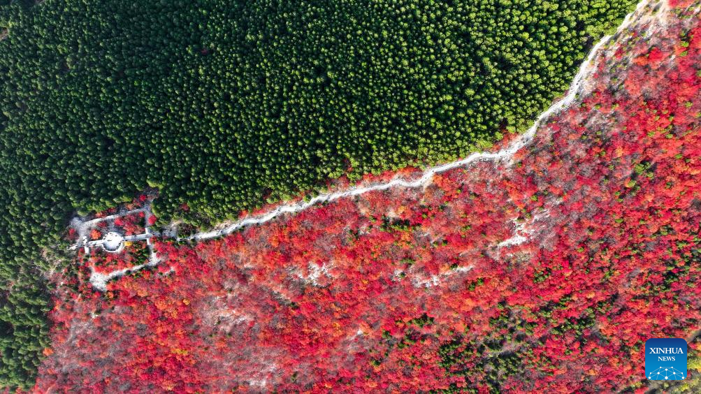 Autumn view of Jinan City, E China's Shandong