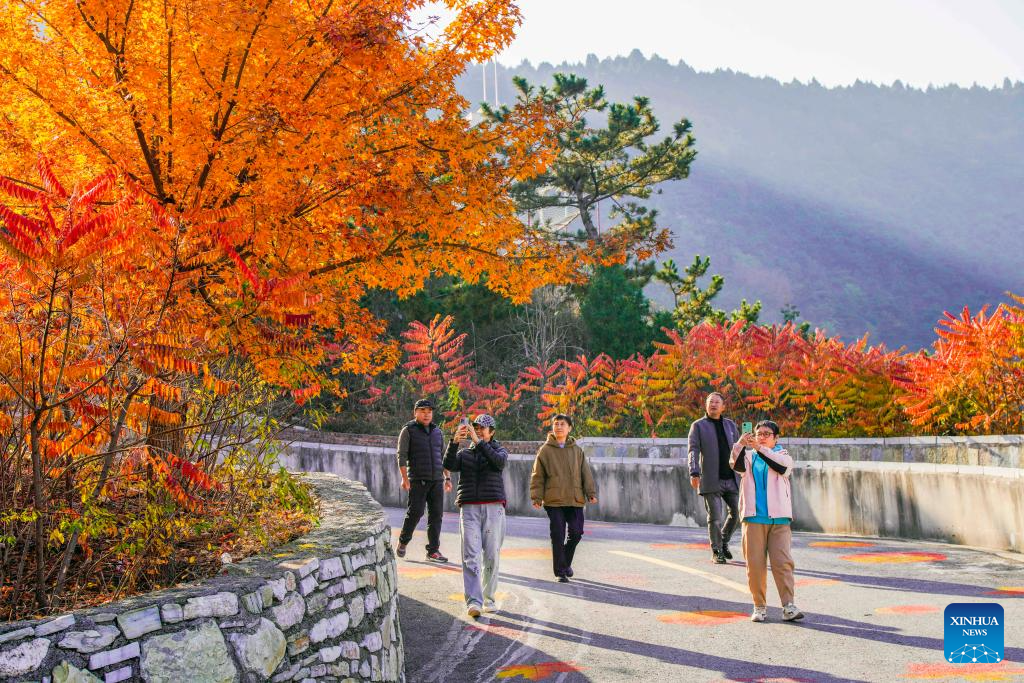 Autumn scenery across China