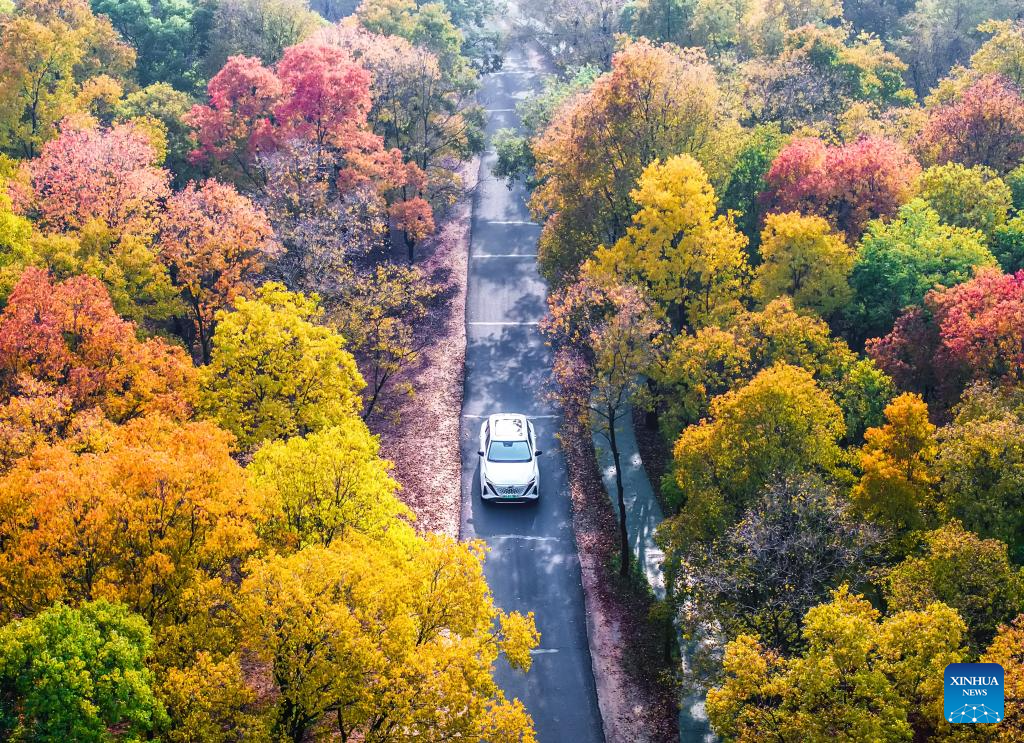 Autumn scenery across China