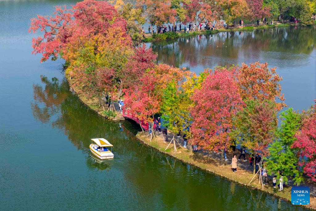 Autumn scenery across China