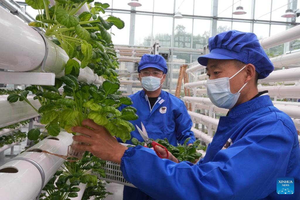 Smart agricultural park powered by sci-tech put into operation in Zhuji, Zhejiang