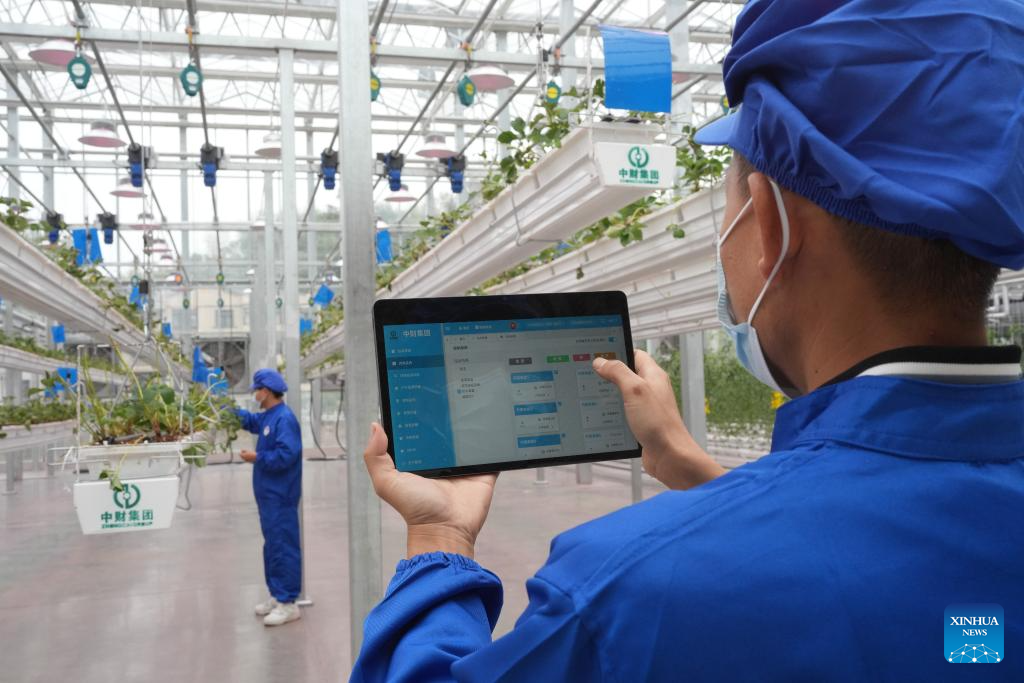 Smart agricultural park powered by sci-tech put into operation in Zhuji, Zhejiang