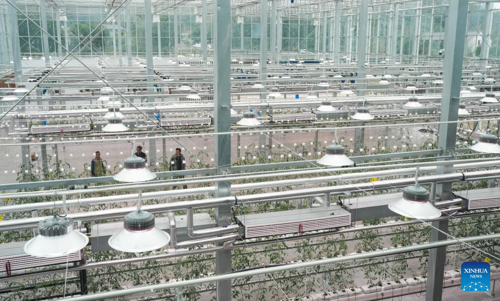 Smart agricultural park powered by sci-tech put into operation in Zhuji, Zhejiang