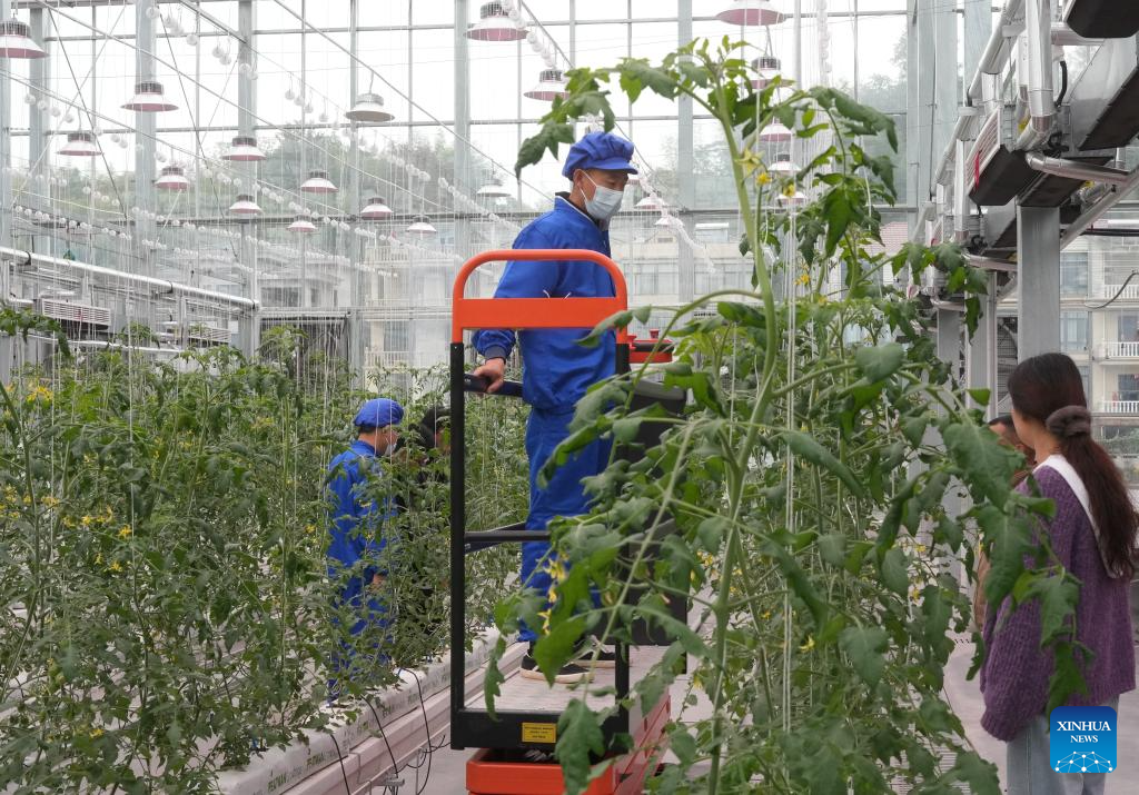 Smart agricultural park powered by sci-tech put into operation in Zhuji, Zhejiang
