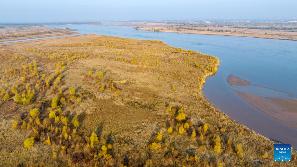 Autumn scenery of Yellow River in China's Ningxia
