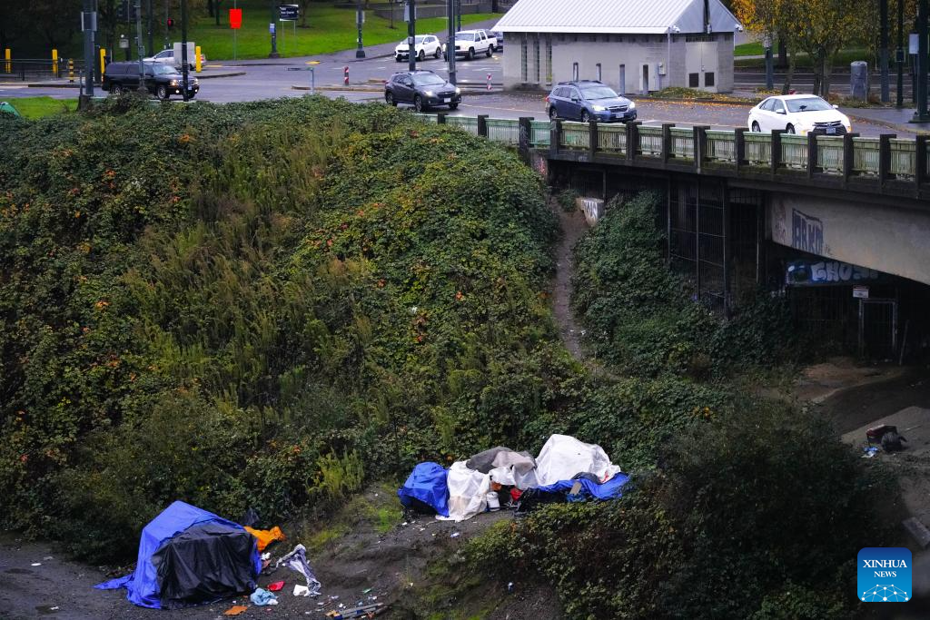 U.S. records longest gov't shutdown in history as it enters Day 36