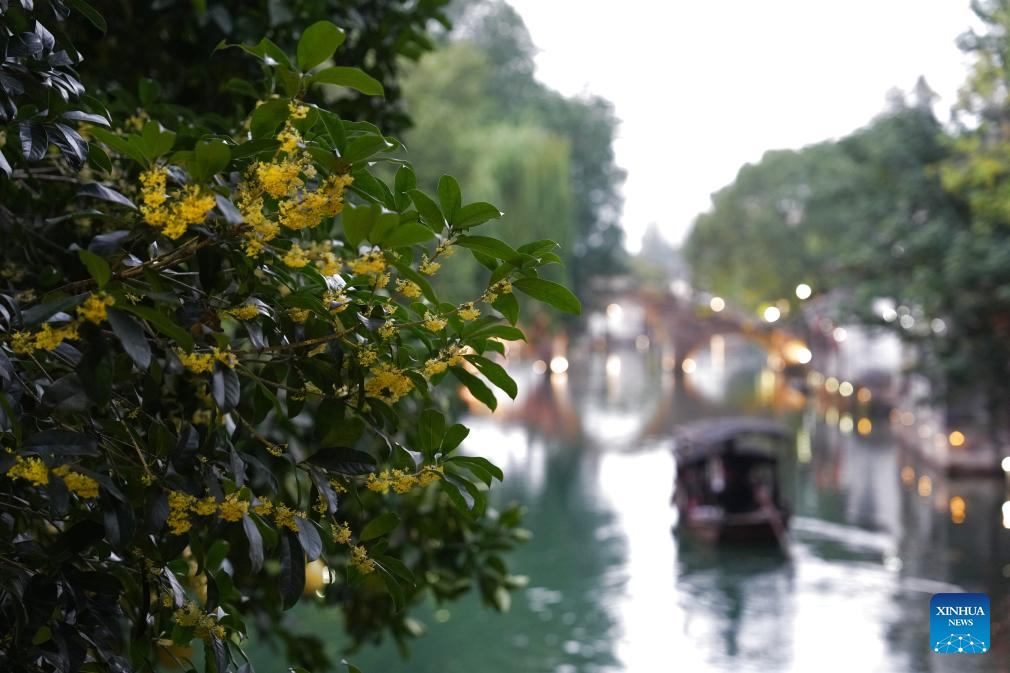 2025 World Internet Conference Wuzhen Summit held in east China's Zhejiang