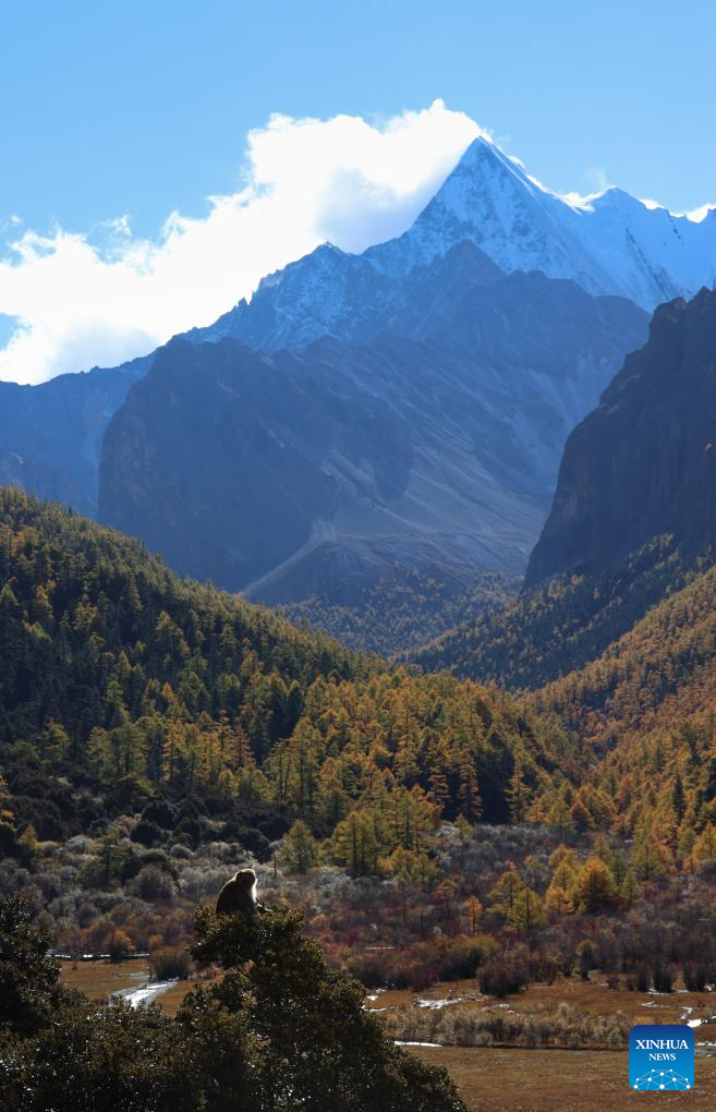 Yading scenic spot in China's Sichuan in best viewing season