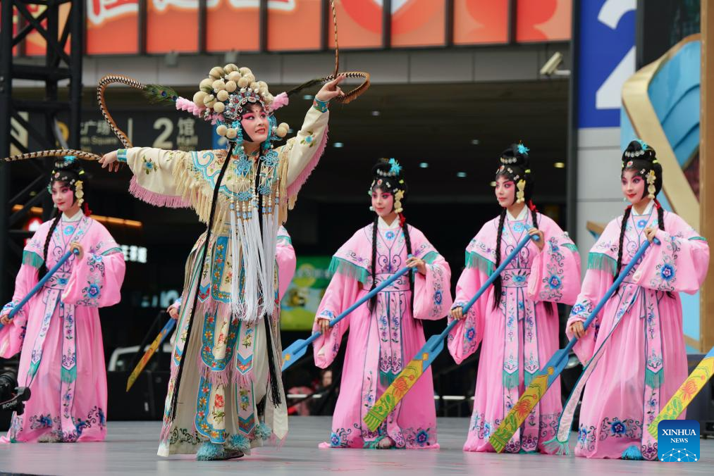 CIIE promotes exchange of cultures, ideas between China and world