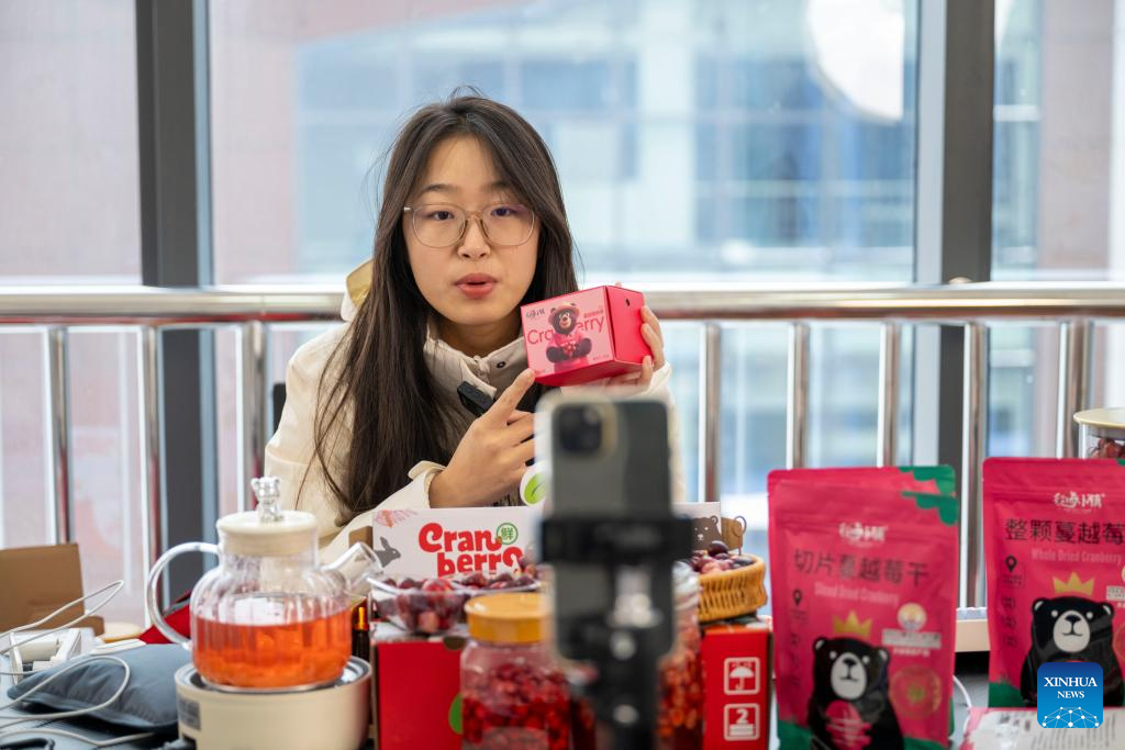 Cranberry industry thrives in Fuyuan City, China's Heilongjiang