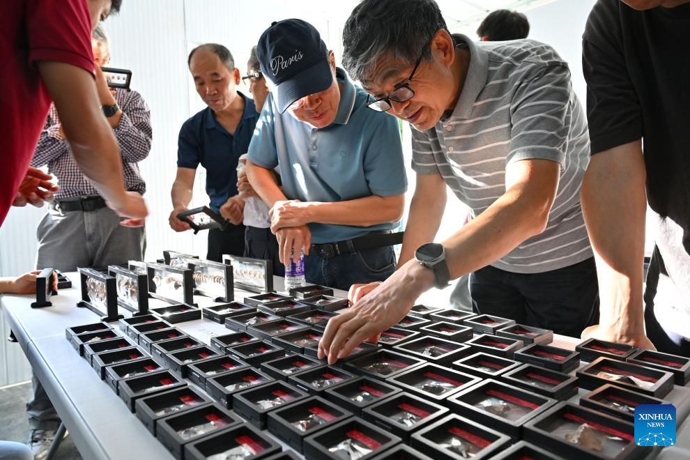 Prehistoric tomb discovered in south China's island province