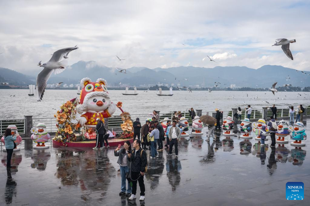 Black-headed gulls migrate to SW China's Kunming in winter