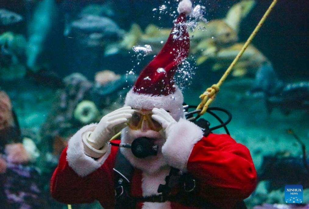 Diver dressed as Santa Claus performs at Vancouver Aquarium in Canada