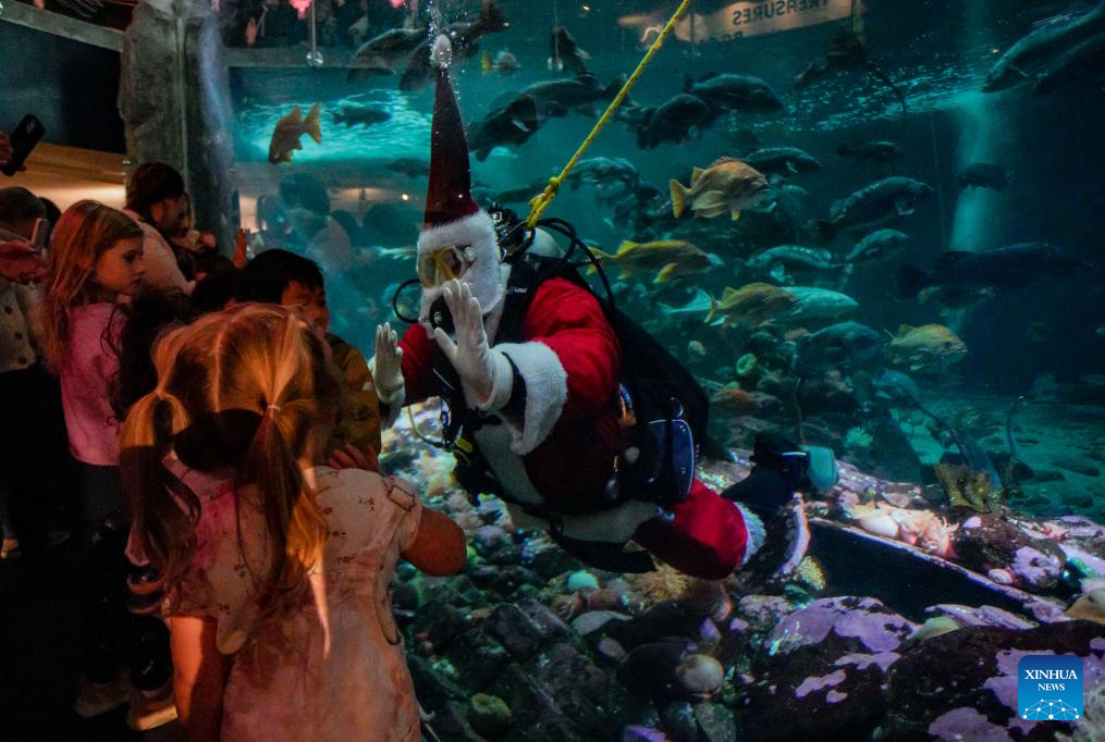 Diver dressed as Santa Claus performs at Vancouver Aquarium in Canada